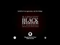 Rapsody - Black Diamonds feat. Raekwon  (prod. by 9th Wonder)