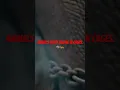 Download Lagu Tak Ada Lagi Rantai 🐘🔥 | Hentikan Kekejaman terhadap Hewan di Sirkus