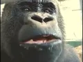 Oliver eats an Apple