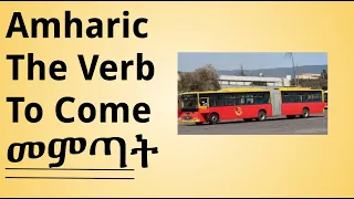 Amharic Verbs To Come 