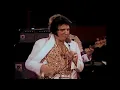 HOUND DOG 1977