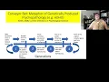 Is AD Good for Something AD as an Adaptation - Part II