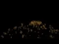 Plexus 2 Test Render