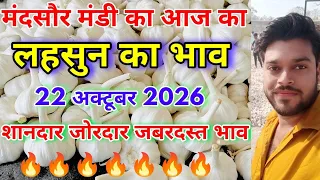 मंदसौर मंडी का आज लहसुन का भाव | aaj ka lahsun ka bhav | lahsun ka bhav | mandsaur mandi lahsun bhav