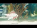Just You (Visualizer) | Tarsem Jassar | Pav Dharia | VISION EP