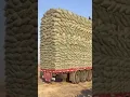 overloaded truck new short video