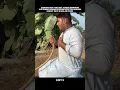Download Lagu panasnya cuaca di bulan Ramadhan #alurceritafilm #shorts