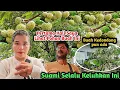 Download Lagu Pertama Kali Saya Lihat Pohon Buah Ini Dan Tak Pernah Makan Pun