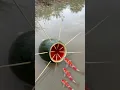 Download Lagu Survival Skills: Single mom with watermelon fish trap #survival #camping #bushcraft #fish