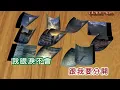 美黛 ~ 情人的眼淚