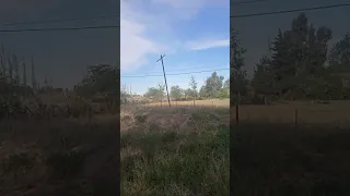                                                دندنها