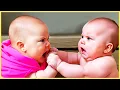 Funny Baby Videos - The Cutest Moments You'll See Today