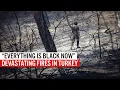 Download Lagu “Everything is black now” - devastating fires in Turkey