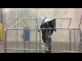 DogKennelCoverKingCanopy