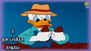 خمسة حلقات من بطوط كرتون أطفال بدون موسيقى HD 