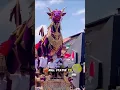 Download Lagu TRADITIONAL BALI NGABEN CEREMONY #viralvideo #shortvideo