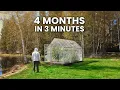 I Filmed My Greenhouse For 4 Months Time-lapse