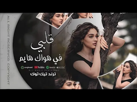 Video Thumbnail: قلبي في هواك هايم ( اغاني مغربية ترند 2026 ) ترند التيك توك  #مطلوبه اكثر شي 2025
