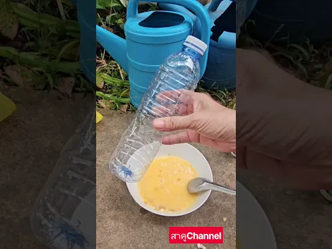 เหลือเชื่อ!! แค่ไข่ ฟองเดียว!! ทำให้ต้นไม้แข็งแรงออกดอกออกผลไว #เกษตรพอเพียง