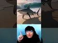 Download Lagu 🦈+👟=? How to make Italian Brainrot