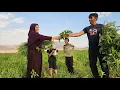 Download Lagu Kazem and Akram Visit Moslem to Gather Grass for the Sheep! 🌾🐑\