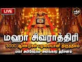 Lagu 🔴Live: மஹா சிவராத்திரி 2026 | 3000 ஆண்டுகள் பழமையான சிவ பெருமான் | மஹா அபிஷேக அலங்கார தரிசனம்