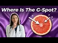 Female Anatomy Explained What Men Should Know Doctor Explains