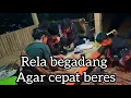 Download Lagu RELA BERGADANG BIAR CEPET BERES || malam nya kedatangan tamu liwet