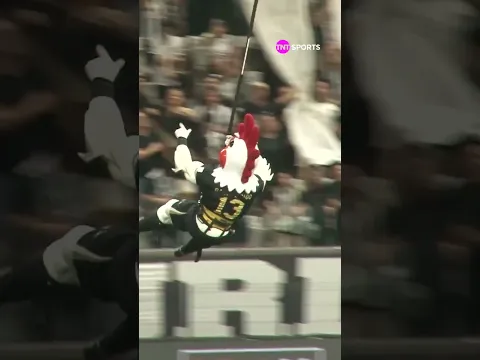 E O GALO DOIDO QUE LANÇOU O BUNGEE JUMPING ANTES DO CLÁSSICO KKKKKKKKKK #shorts