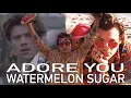 Adore You x Watermelon Sugar - Harry Styles (Mashup)