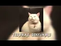 Download Lagu Terpikat Senyum mu - (speed up)