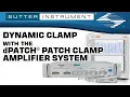 Dynamic Clamp with the dPatch Patch Clamp Amplifier System - Scientists Empowering Scientists