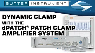 Dynamic Clamp with the dPatch Patch Clamp Amplifier System - Scientists Empowering Scientists