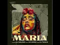 Download Lagu MARIA REMIX - DJ WALGEE X MC EMMM X DJ TARICO