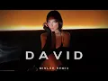 Download Lagu LORDE - DAVID (minlee remix) [UKG / House]