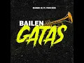 BAILEN GATAS (Remix) - Mambo DJ