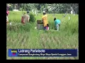 Download Lagu Langgam Jawa SANGKURIANG woyo woyoCAMPURSARI FULL ALBUM