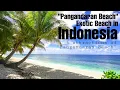 Download Lagu 5 Attractions of Pangandaran Beach: Tropical Paradise in Indonesia