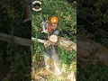 Download Lagu Amazon Chainsaw is a BEAST!