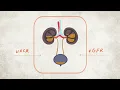 What are your Kidney Numbers uACR and eGFR Explained CKD Heat Map NKF