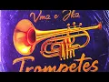 Download Lagu VMZ - Trompete Feat JKZ (DROOP NOVA ERA) ( TRIP#1