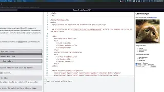 freeCodeCamp Use CSS Selectors to Style Elements