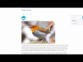 30 - Add Bootstrap Theme