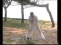 Download Lagu Wudang Pan Long Men   Tan Tui
