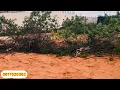 Download Lagu BOOS IIB AH OO KUYAALO ISRAAC DAGMADA YAAQSHIID EERIYO CARAFAAD