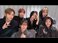Download Lagu Our first Weverse Live!!!