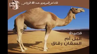 June 9 2021 قصيدة البل ام السيقان رقاق للشاعرالمرحوم عبدالله محمد الزناتي 