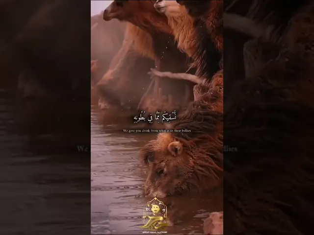 ⁣وإن لكم في الأنعام لعبرة || القارئ حيدر محسن البزوني