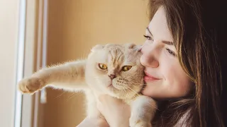 Why Cats Headbutt And Should You Headbutt Them Back