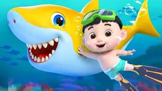 Baby Shark Dance | Daddy Shark + More Nursery Rhymes & Kids Songs